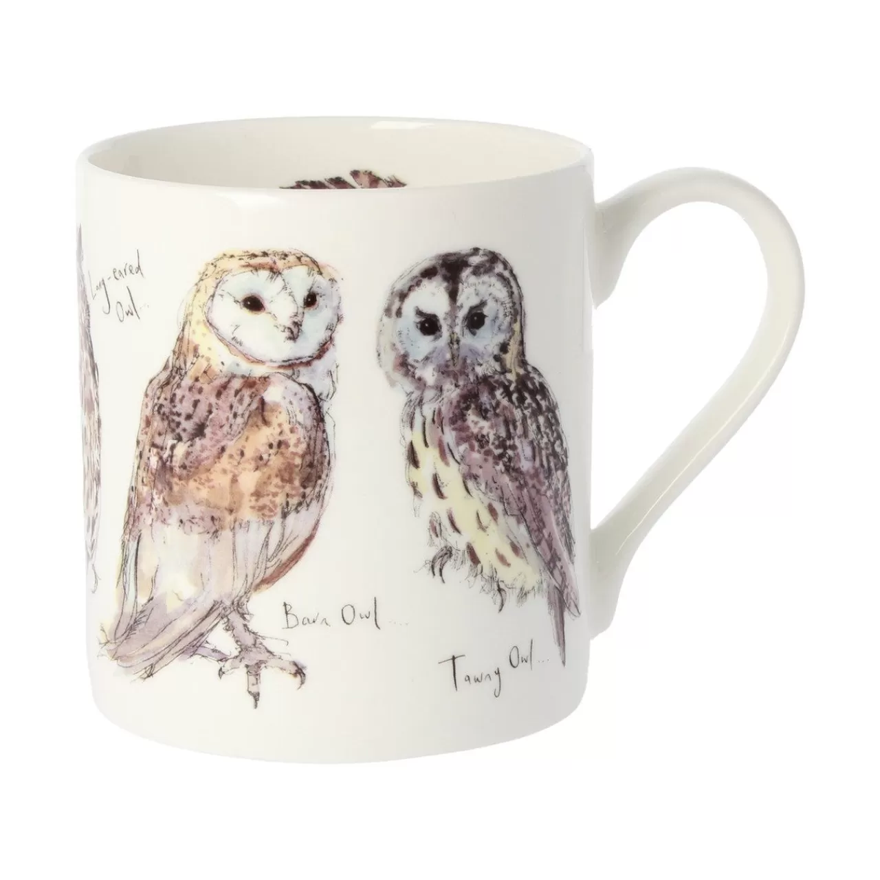 Hot Mclaggen Smith 5 Owls Bone China Mug