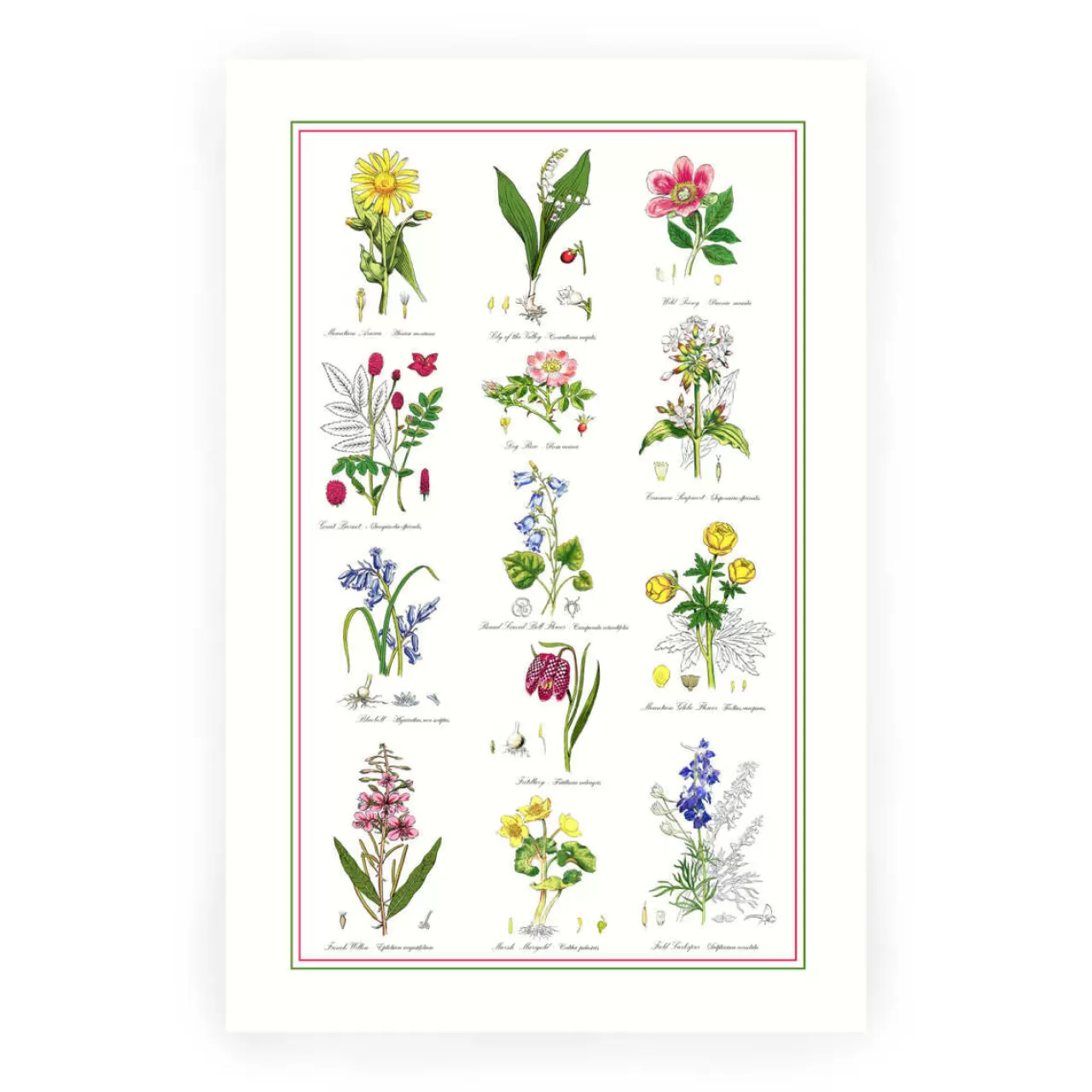 Shop Samuel Lamont Botanical Garden Cotton Tea Towel