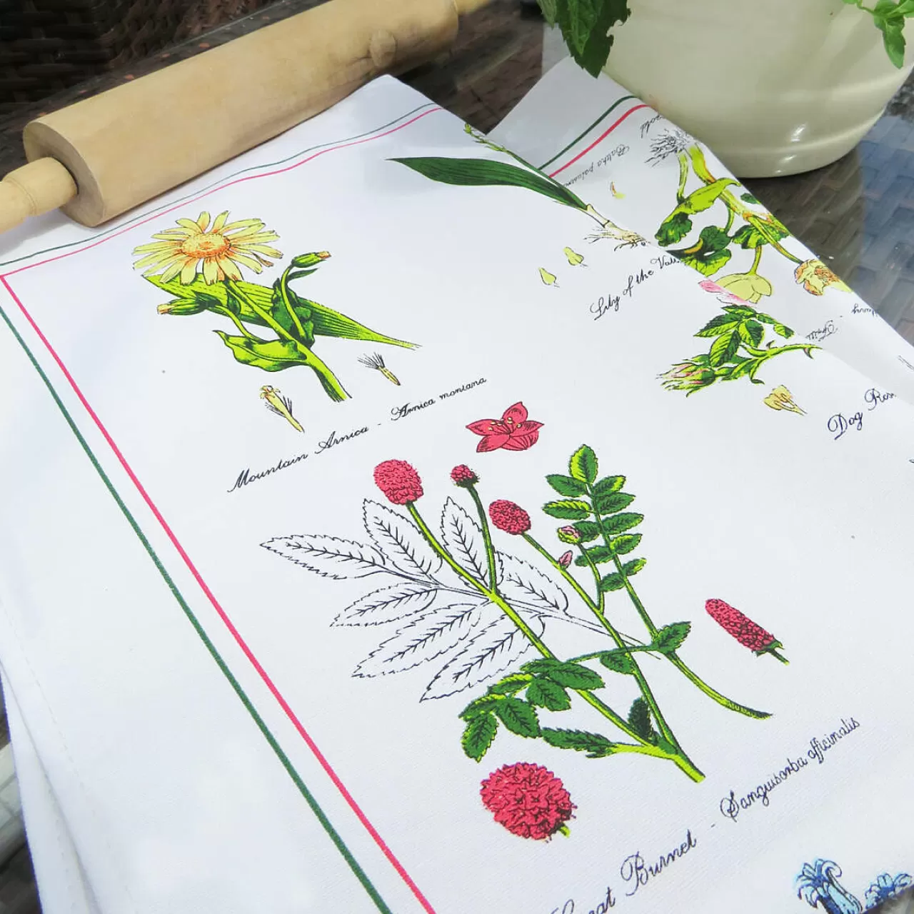 Shop Samuel Lamont Botanical Garden Cotton Tea Towel