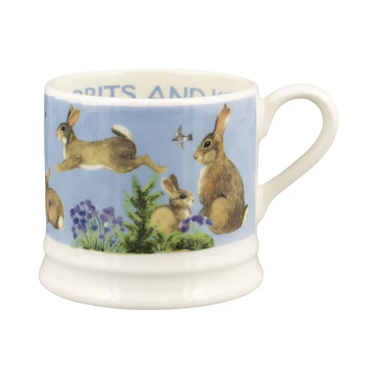 Clearance Emma Bridgewater Bright New Morning Rabbits & Kits Small Mug