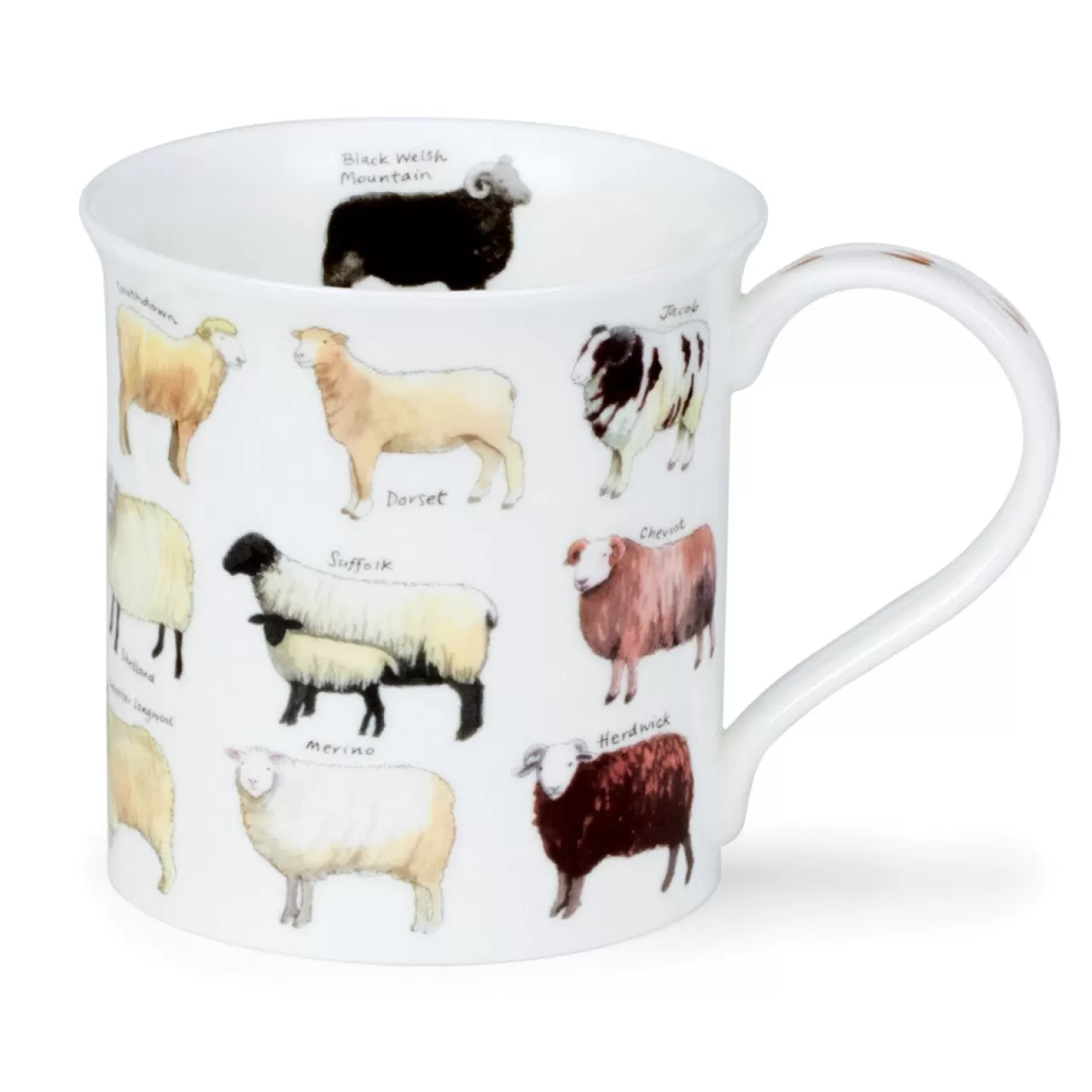 Clearance Dunoon Bute Animal Breeds Mug