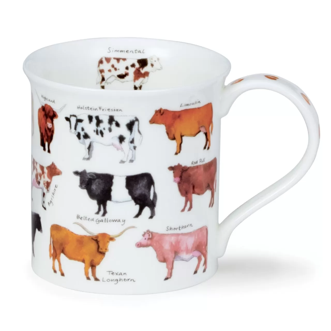 Clearance Dunoon Bute Animal Breeds Mug