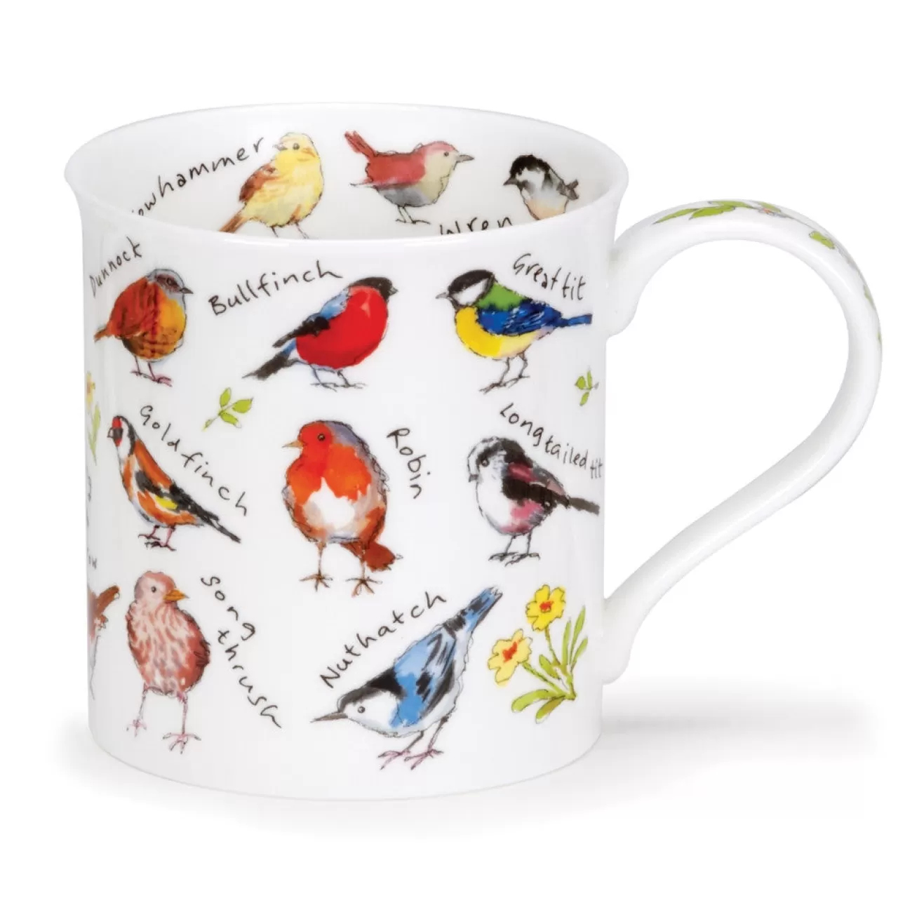 Cheap Dunoon Bute Birdlife Garden Birds Mug