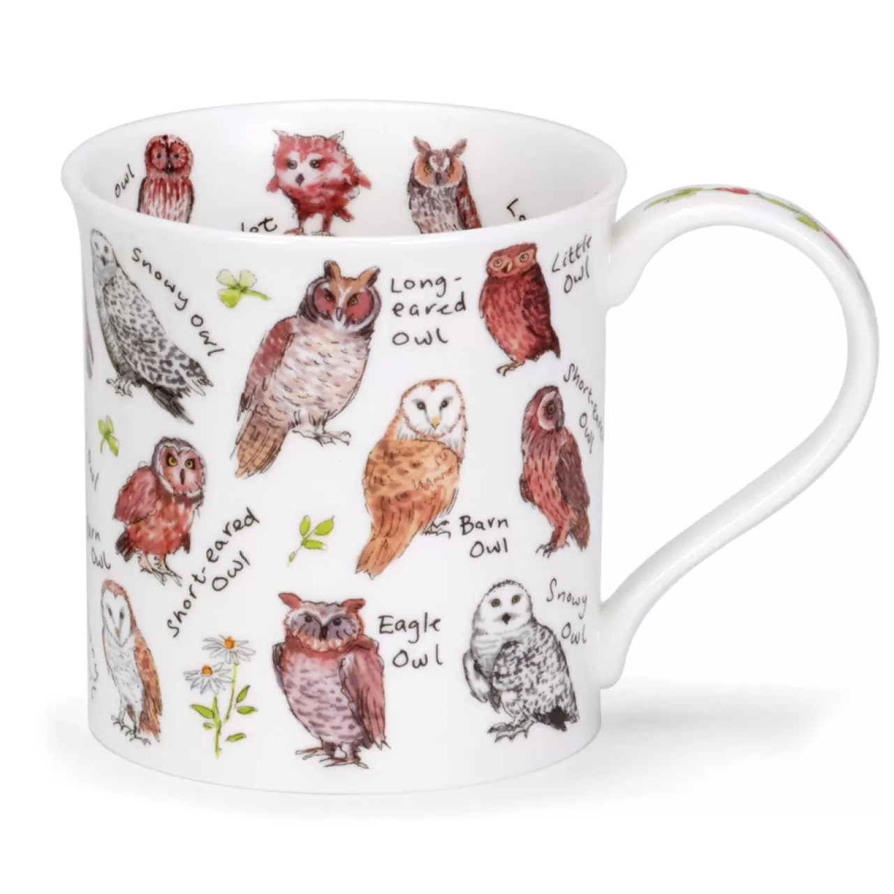 Online Dunoon Bute Birdlife Owls Mug