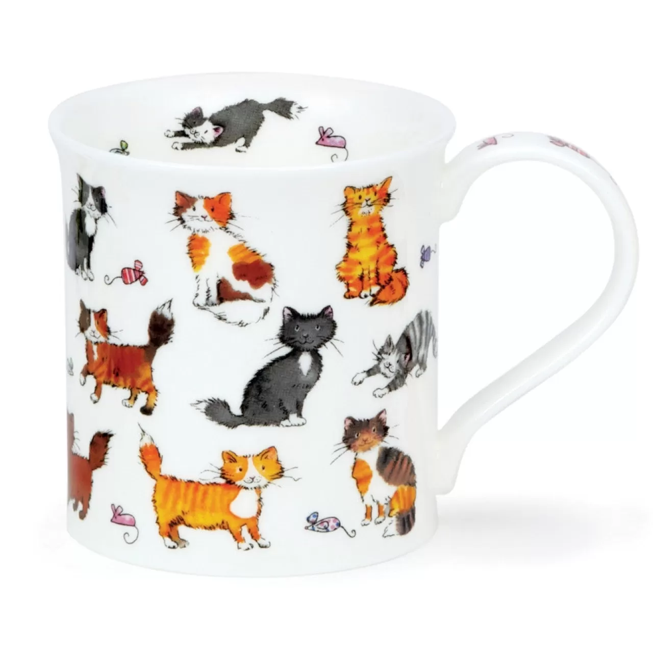 Cheap Dunoon Bute Cute Kittens Mug