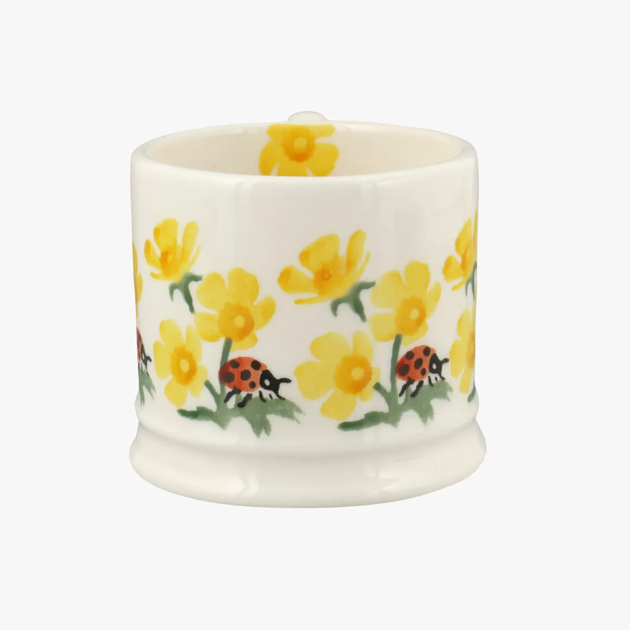 Clearance Emma Bridgewater Buttercup And Ladybird Small Mug