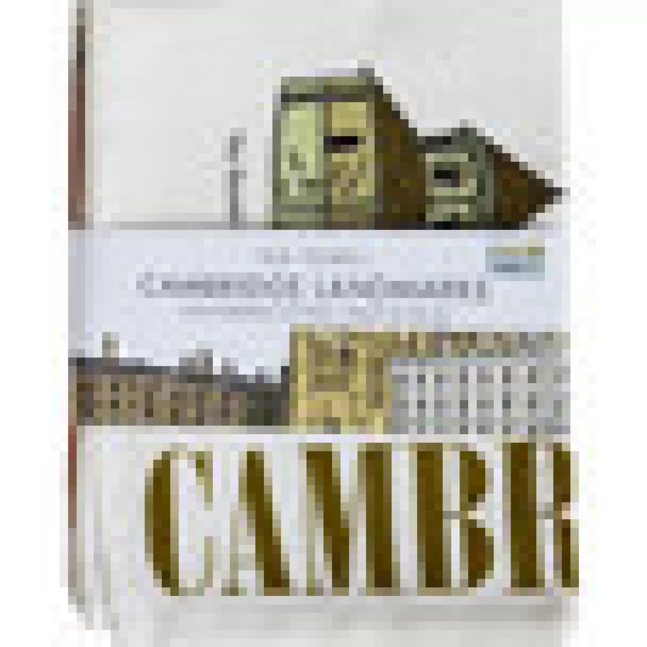 Best Town Towels Cambridge Landmarks Tea Towel