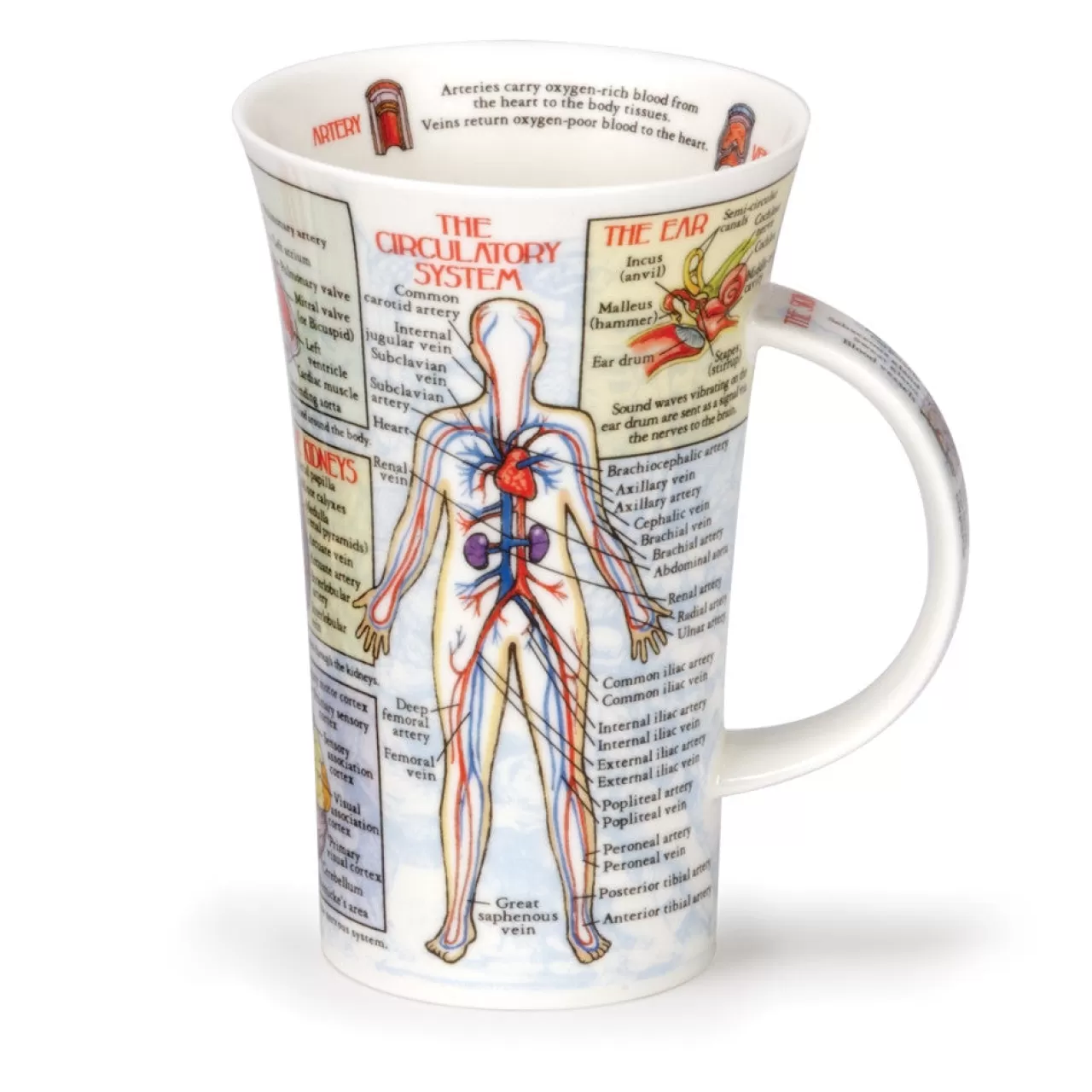 Best Dunoon Glencoe Bodyworks Mug