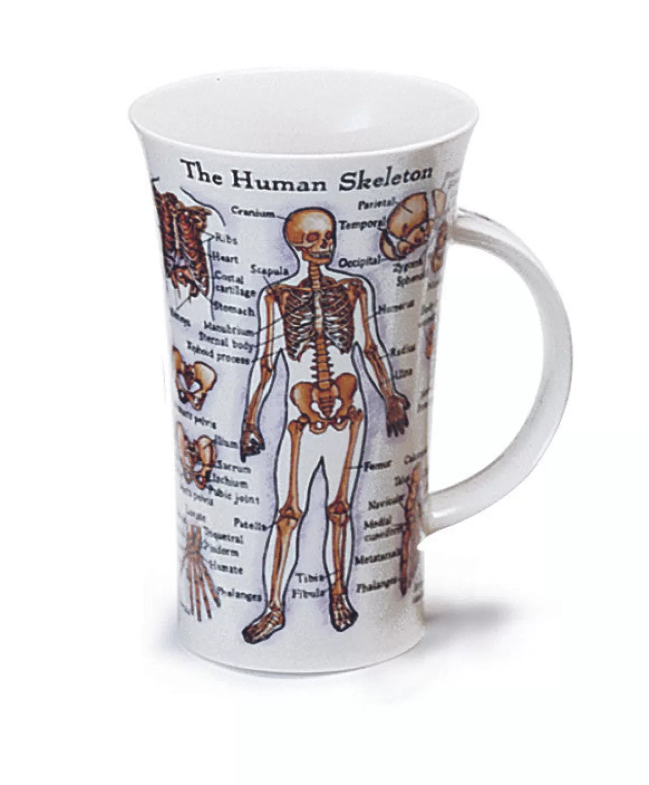 Best Sale Dunoon Glencoe The Human Body Mug