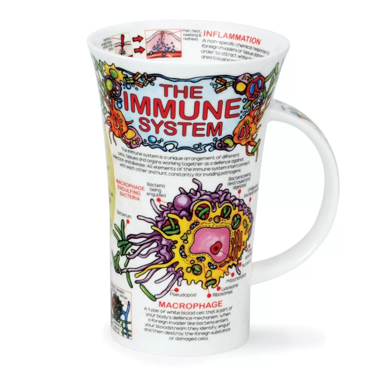 Hot Dunoon Glencoe The Immune System Mug