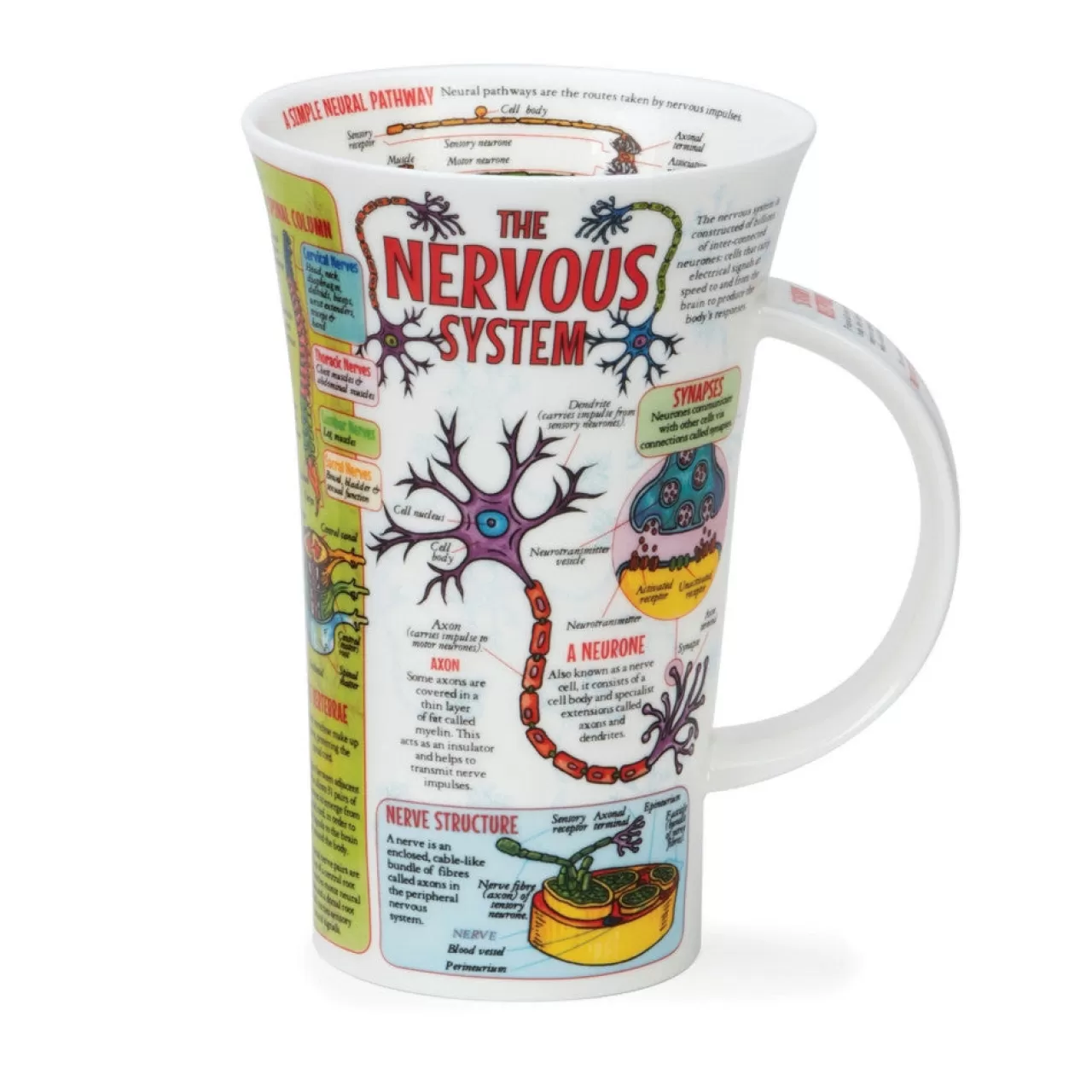 Flash Sale Dunoon Glencoe The Nervous System Mug