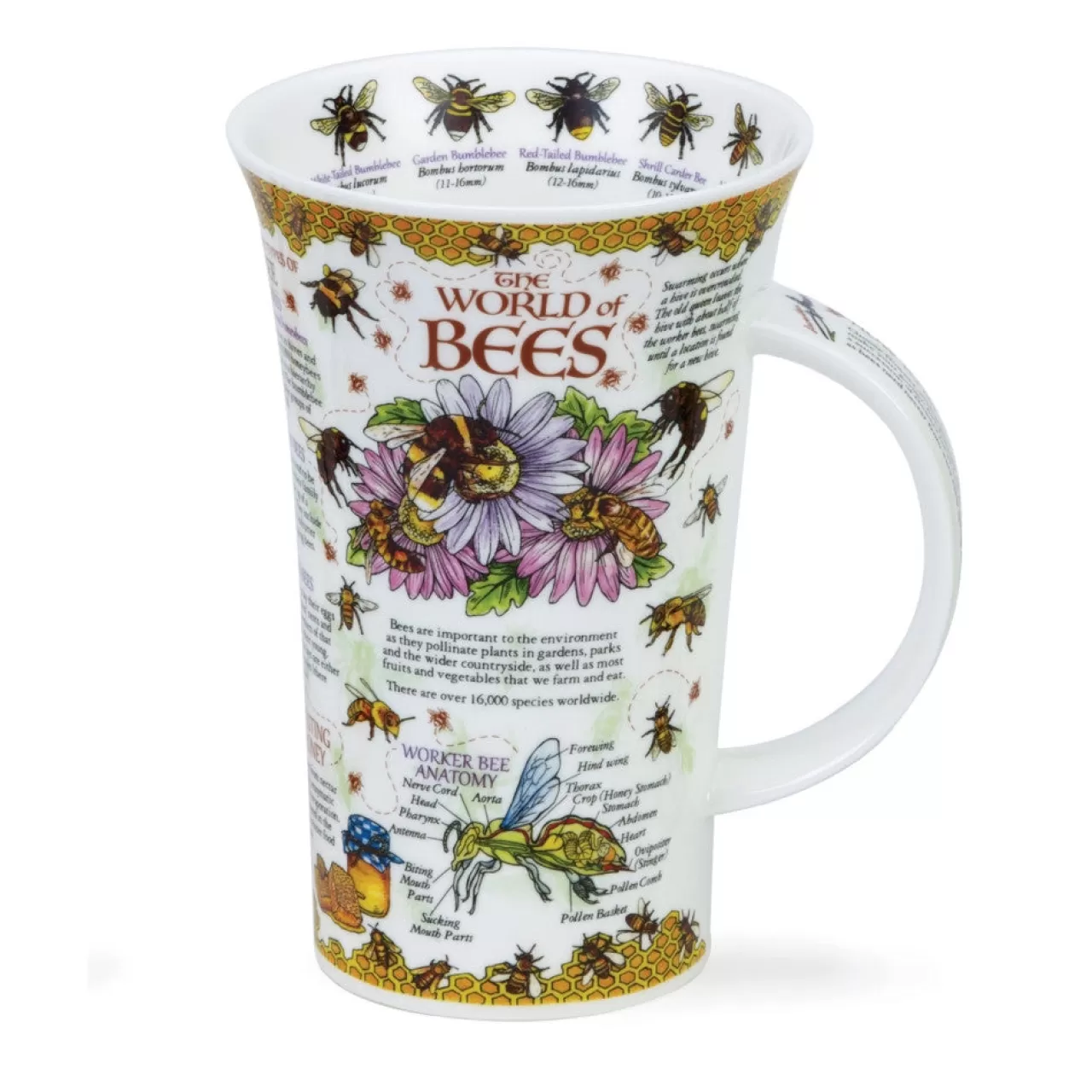 Sale Dunoon Glencoe World Of Bees Mug