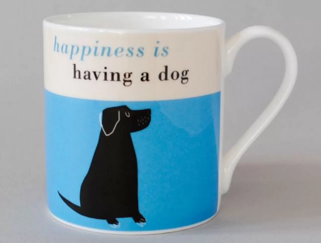 Online Repeat Repeat Happiness Black Lab Turquoise Mug