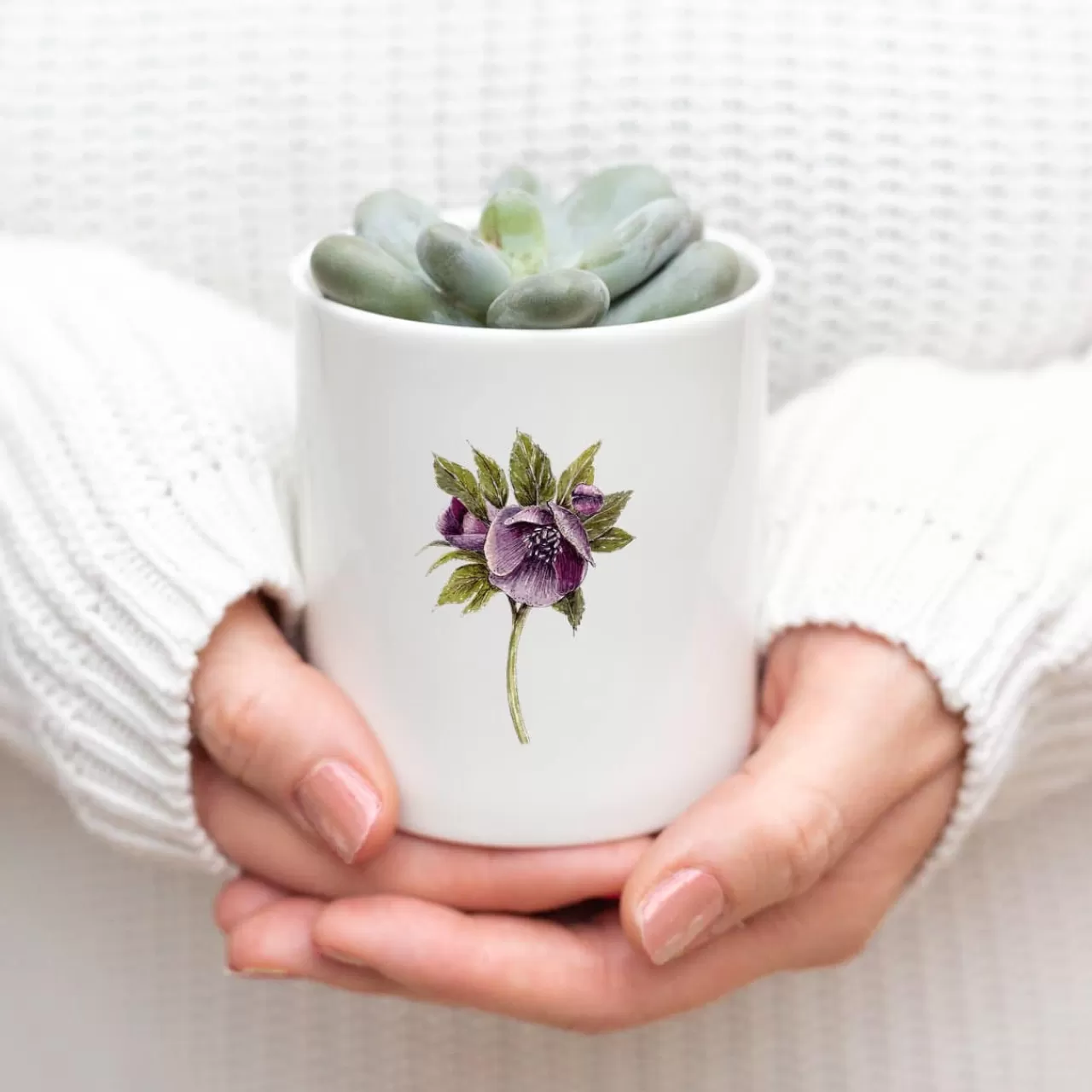 Sale Toasted Crumpet Hellebore Bone China Pot