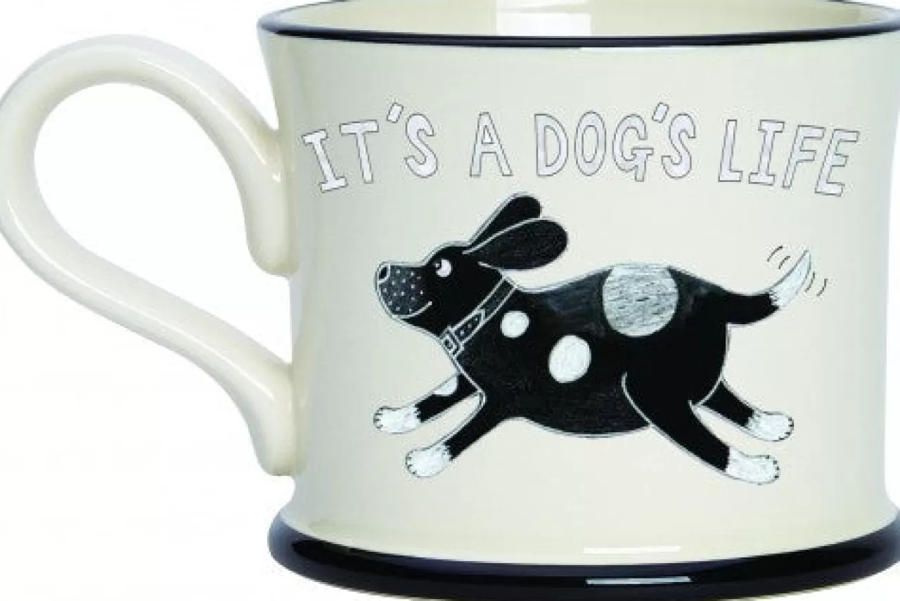 New Moorland Pottery How To Teach An Old Dog New Tricks Mug By