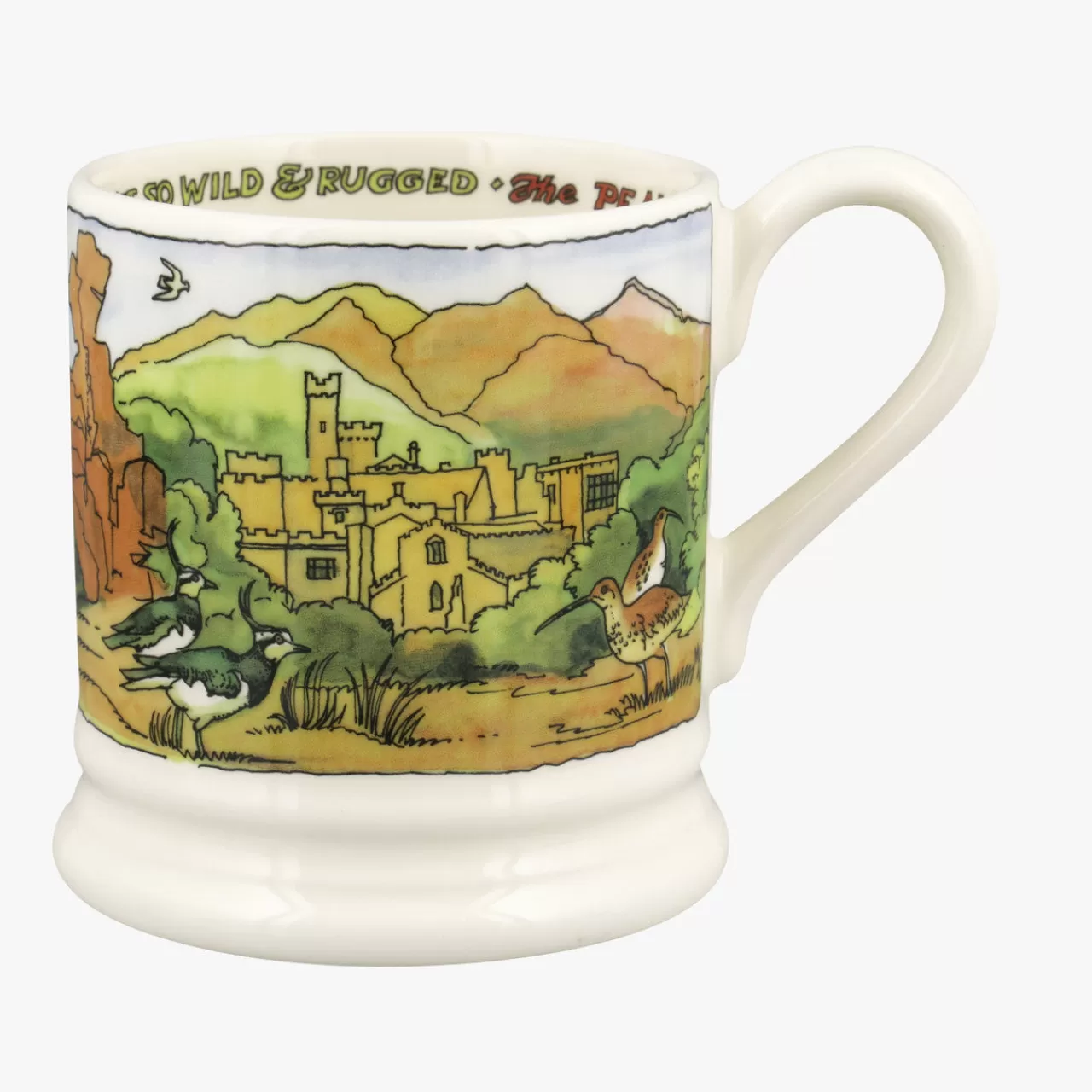 Best Emma Bridgewater Landscapes Of Dreams Peak District 1/2 Pint Mug