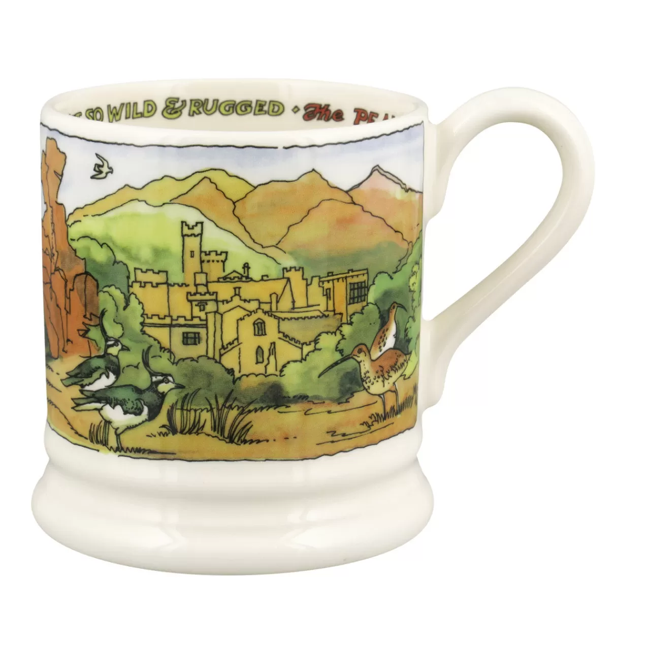 Best Emma Bridgewater Landscapes Of Dreams Peak District 1/2 Pint Mug