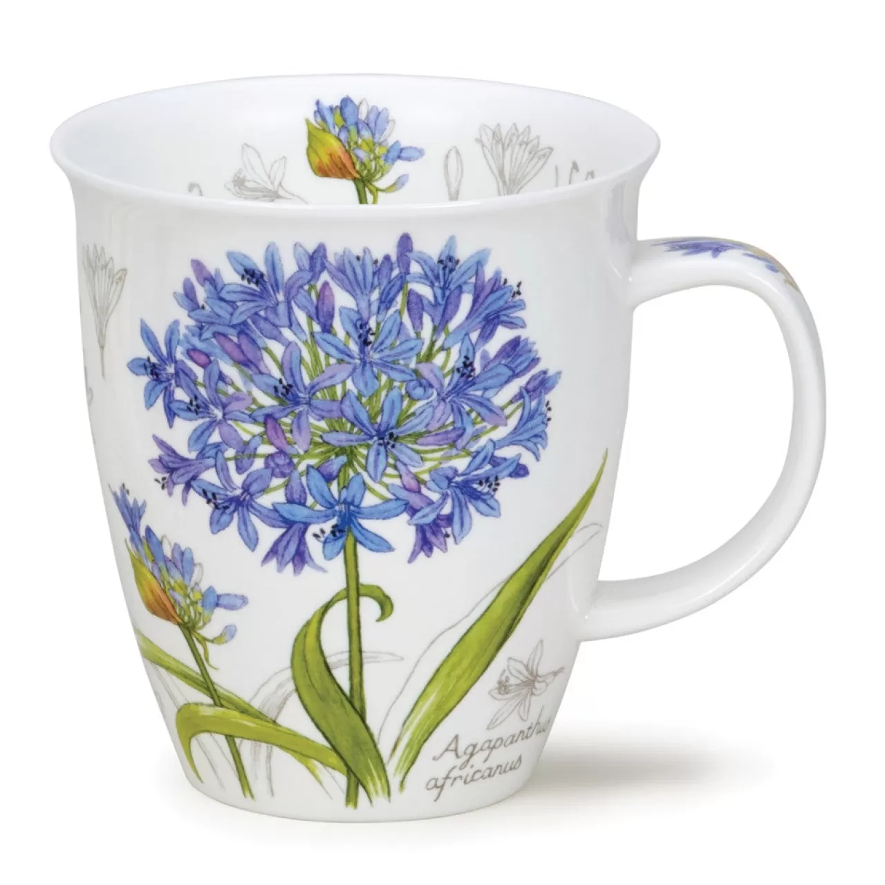 Discount Dunoon Nevis Botanical Sketch Mug