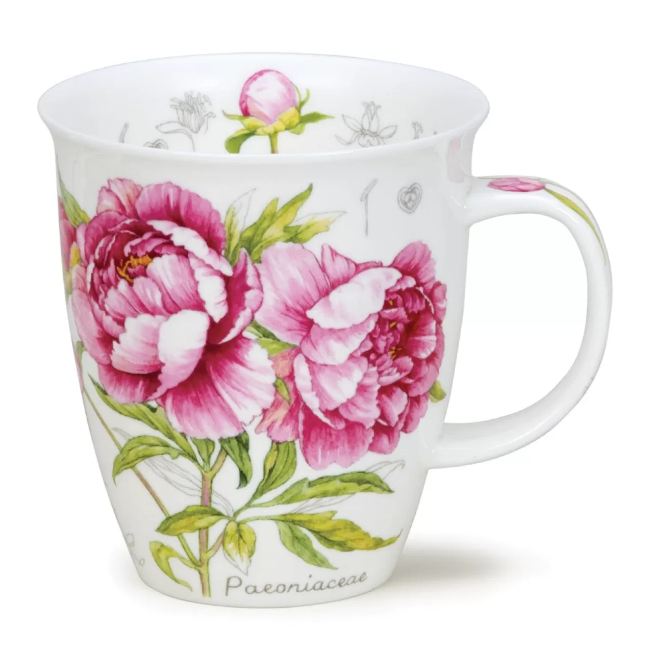 Discount Dunoon Nevis Botanical Sketch Mug