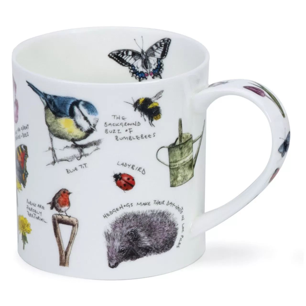 Clearance Dunoon Orkney Country Notebook Mugs