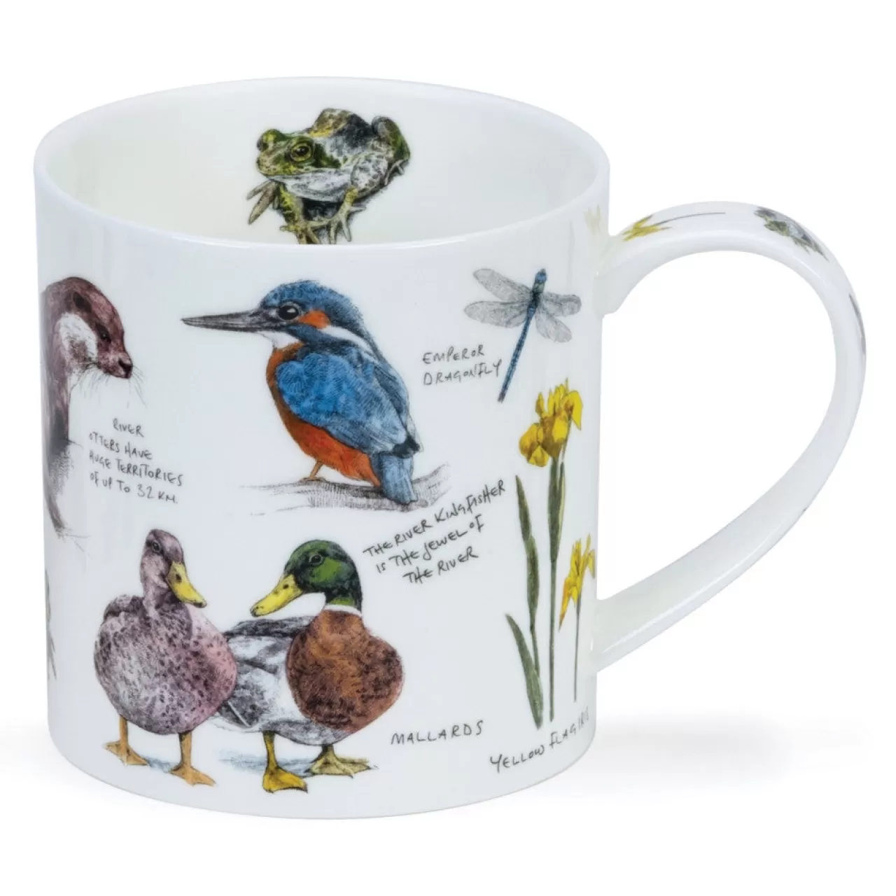 Clearance Dunoon Orkney Country Notebook Mugs