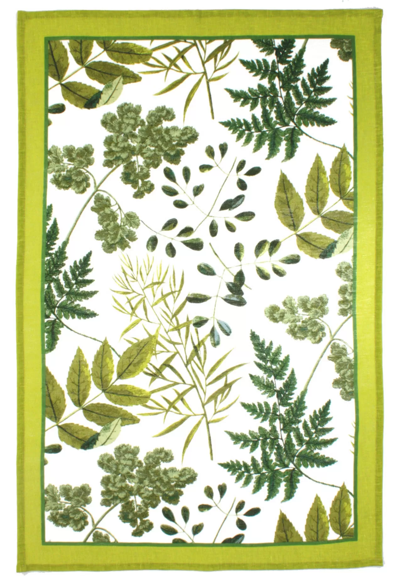 Flash Sale Ulster Weavers Rhs Foliage Tea Towel