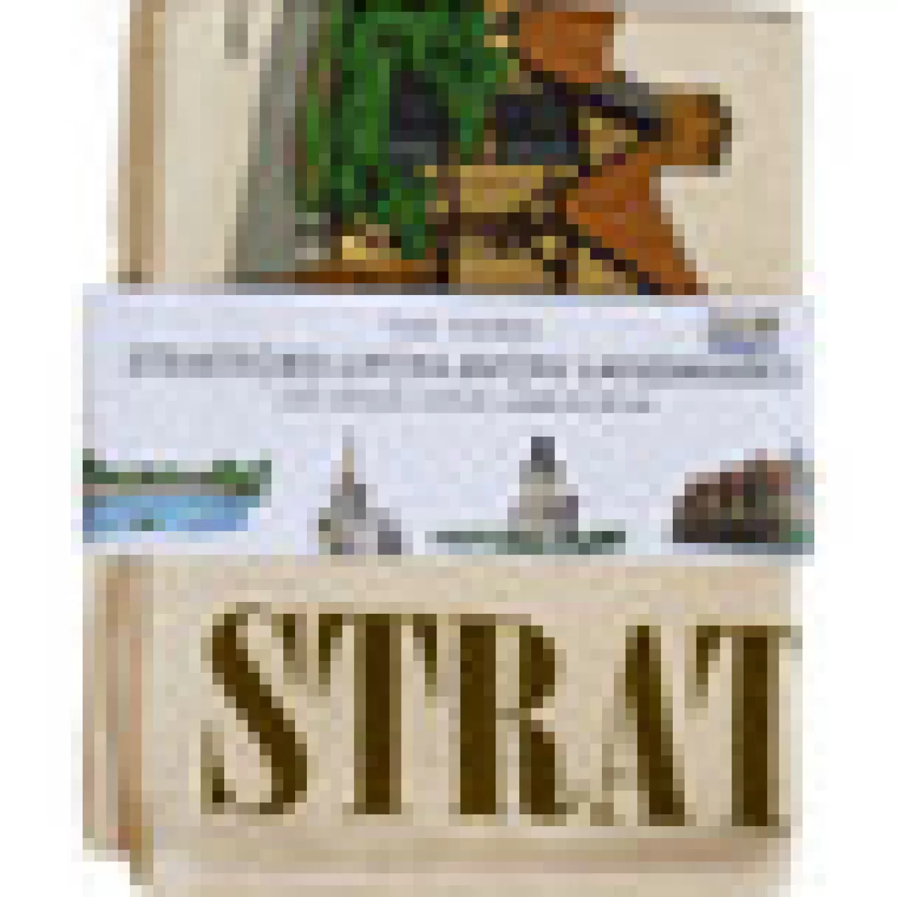 Store Town Towels Stratford-Upon-Avon Landmarks Tea Towel