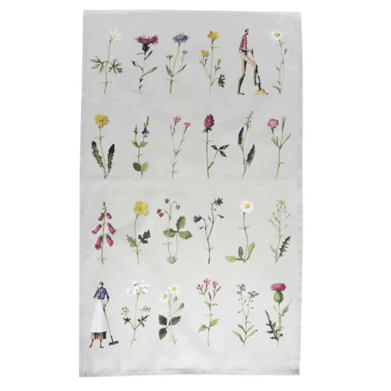 Clearance Laura Stoddart Wild Flowers Tea Towel